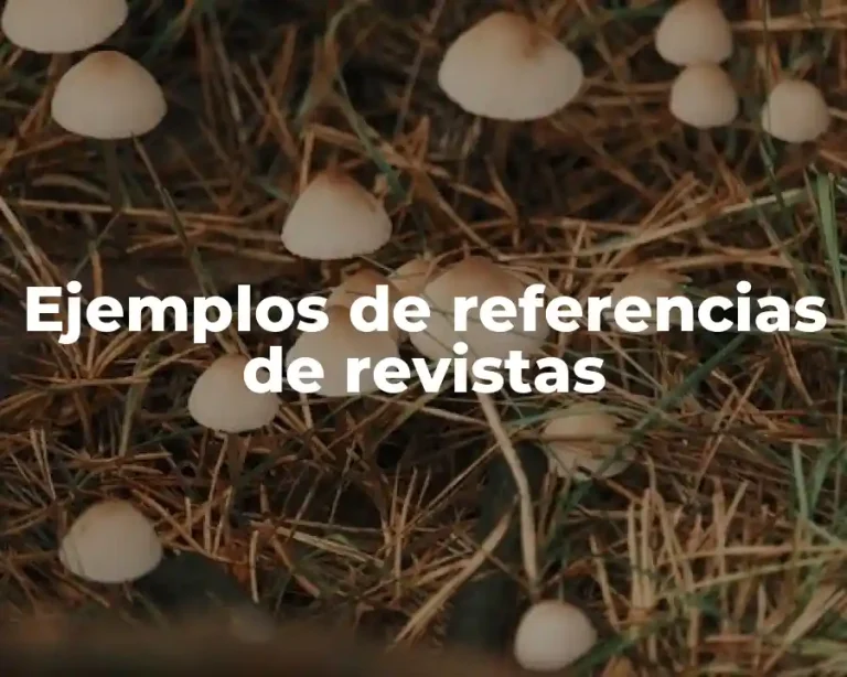 Ejemplos de referencias de revistas