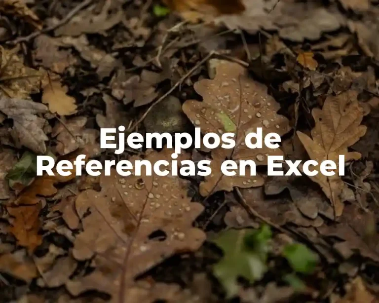 Ejemplos de Referencias en Excel