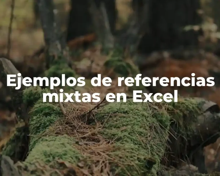 Ejemplos de referencias mixtas en Excel
