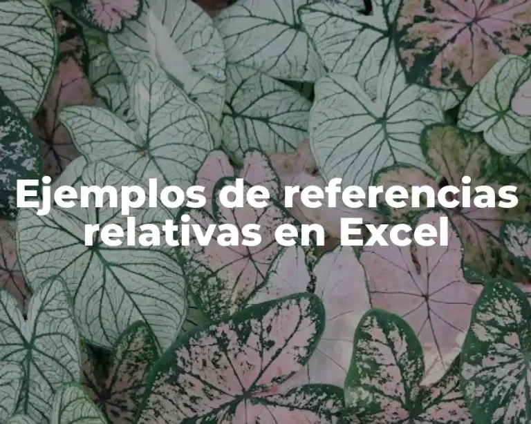 Ejemplos de referencias relativas en Excel