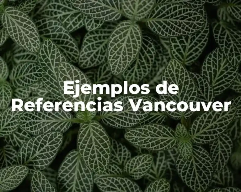 Ejemplos de Referencias Vancouver