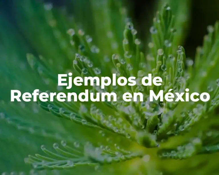 Ejemplos de Referendum en México