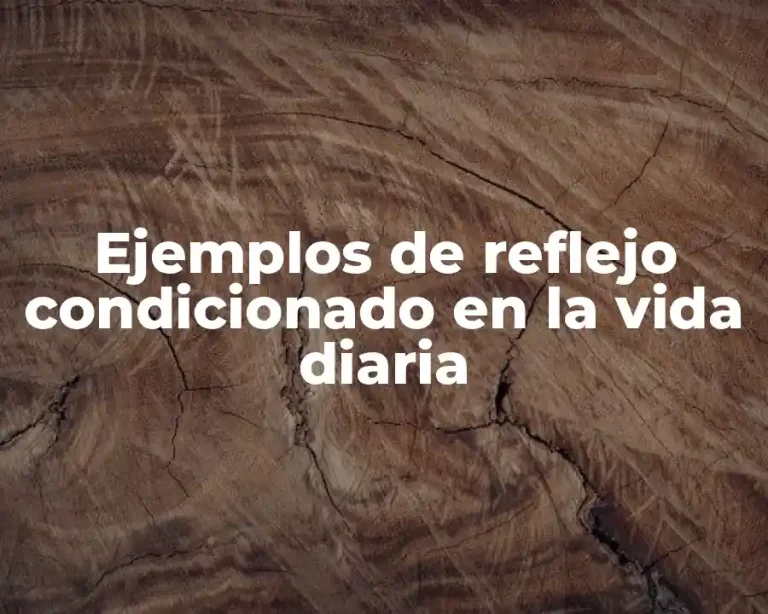 Ejemplos de reflejo condicionado en la vida diaria