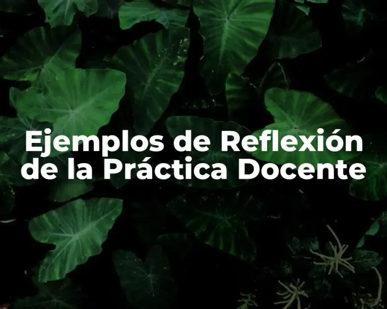 Ejemplos de Reflexión de la Práctica Docente