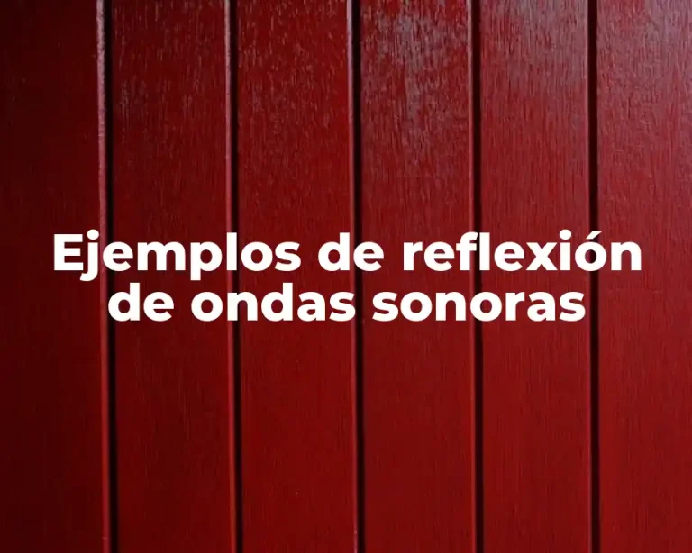Ejemplos de reflexión de ondas sonoras