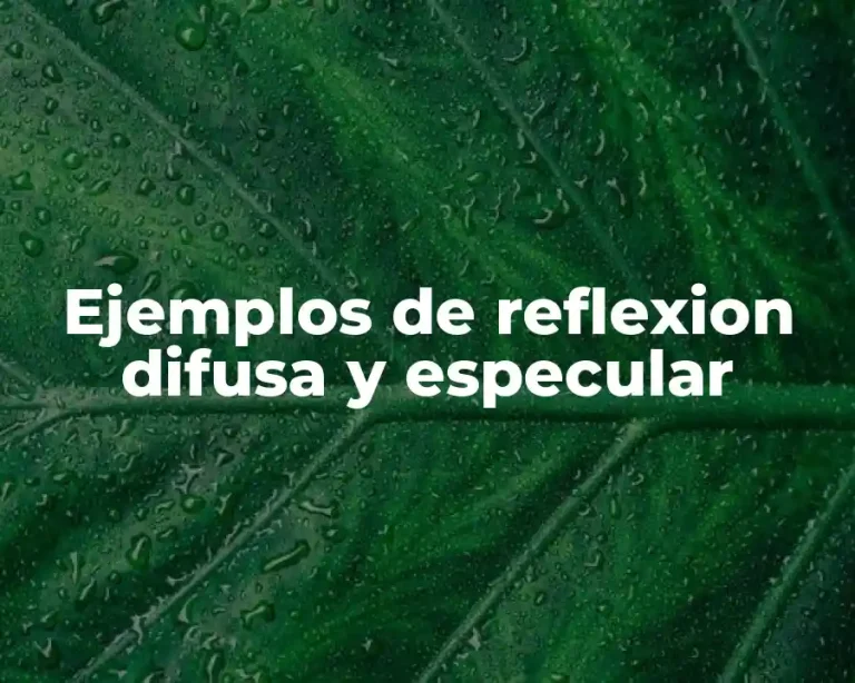 Ejemplos de reflexion difusa y especular