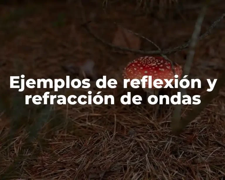 Ejemplos de reflexión y refracción de ondas