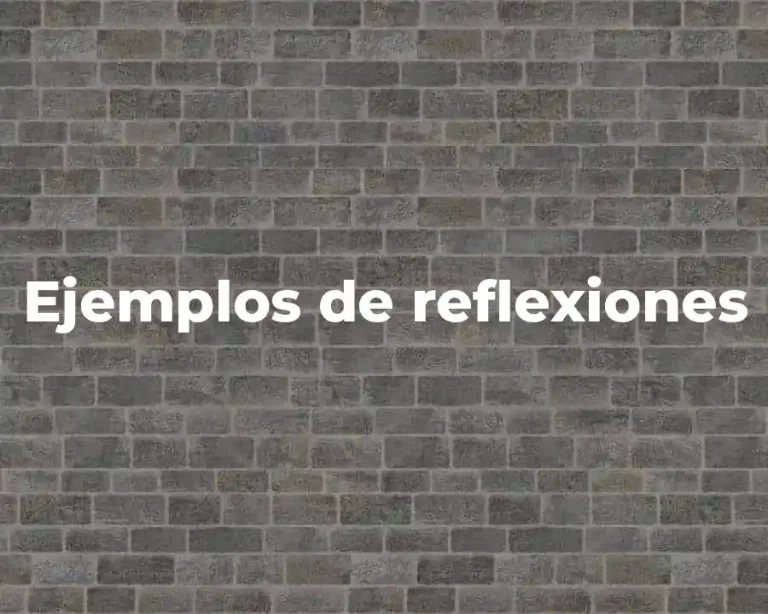 Ejemplos de reflexiones