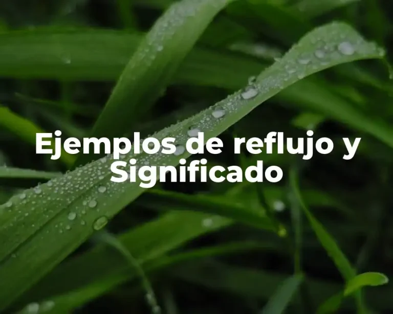 Ejemplos de reflujo y Significado