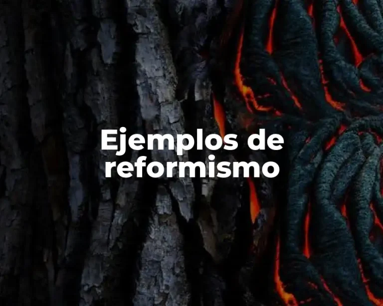 Ejemplos de reformismo
