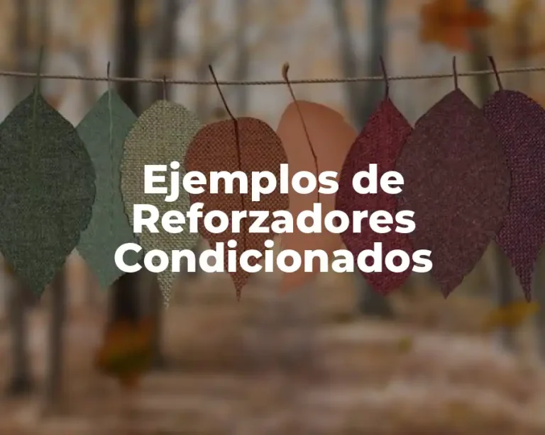 Ejemplos de Reforzadores Condicionados