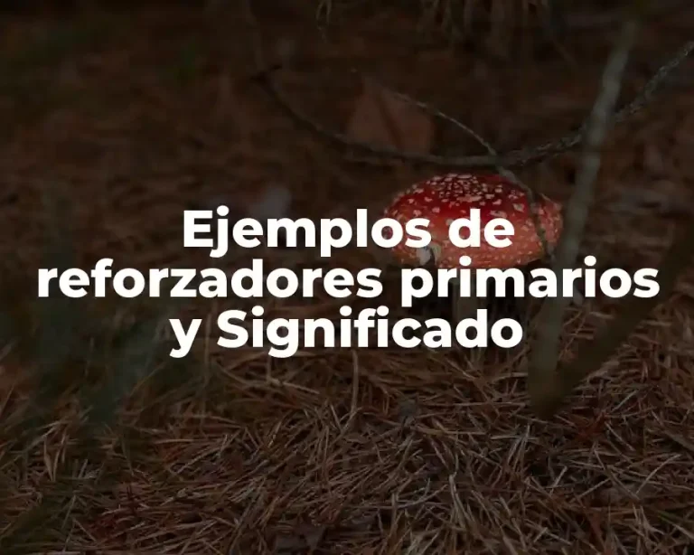 Ejemplos de reforzadores primarios y Significado