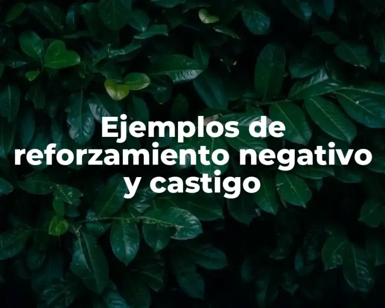 Ejemplos de reforzamiento negativo y castigo