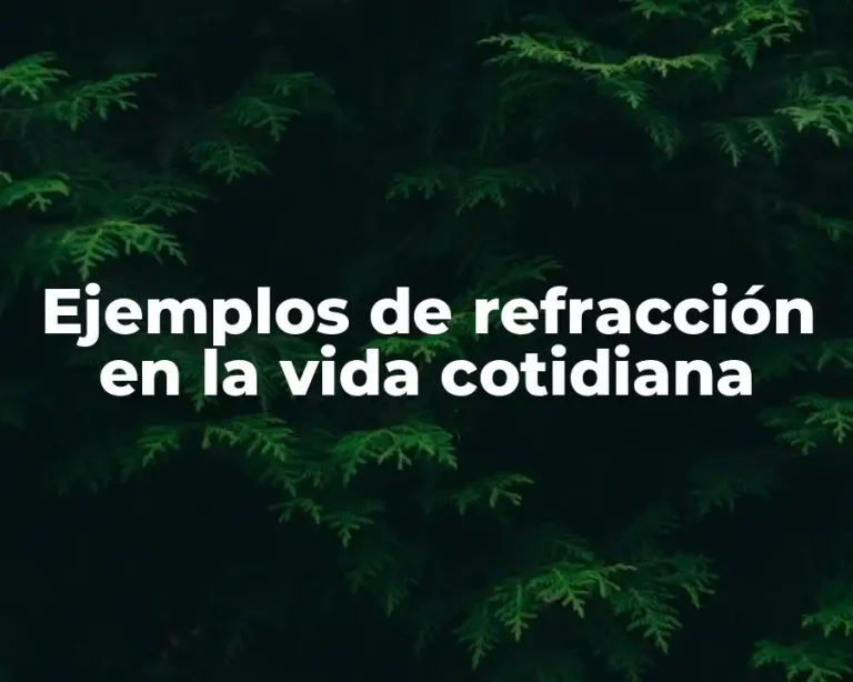 Ejemplos de refracción en la vida cotidiana