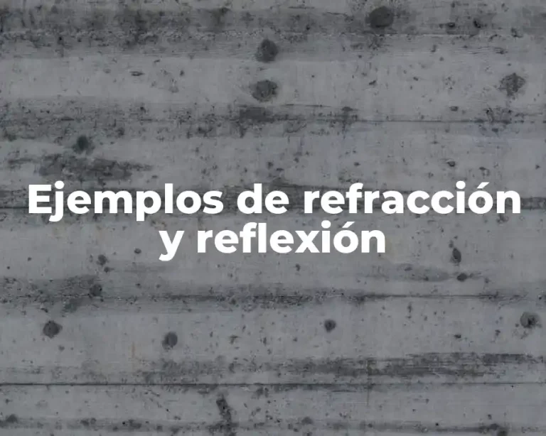 Ejemplos de refracción y reflexión