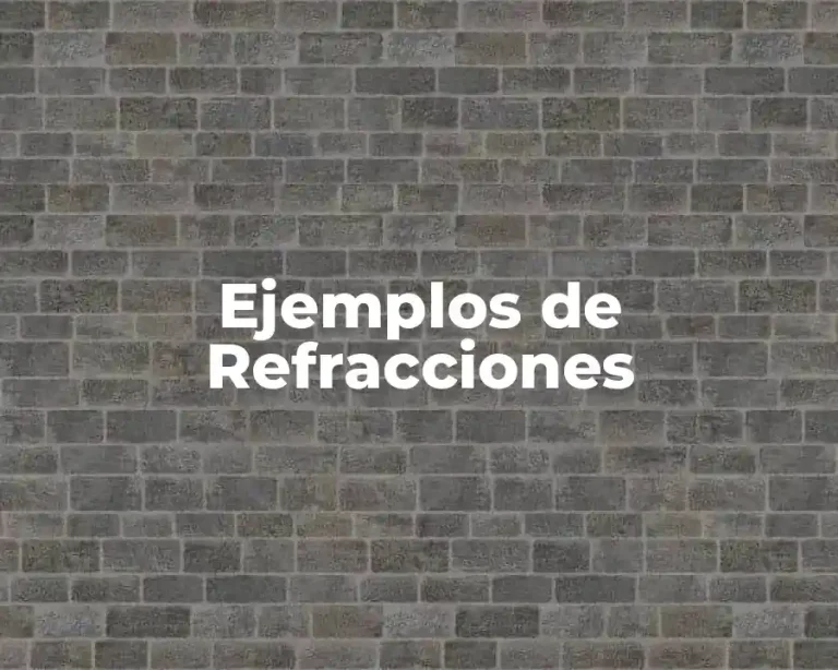 Ejemplos de Refracciones