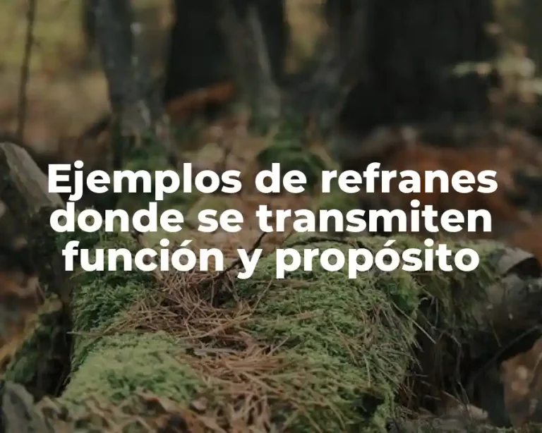 Ejemplos de refranes donde se transmiten función y propósito