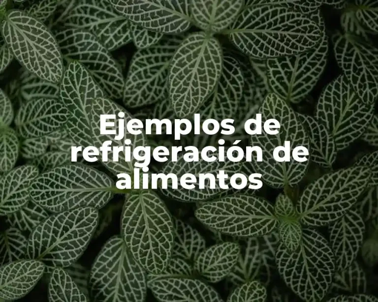 Ejemplos de refrigeración de alimentos