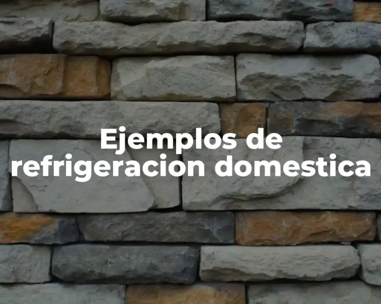 Ejemplos de refrigeracion domestica