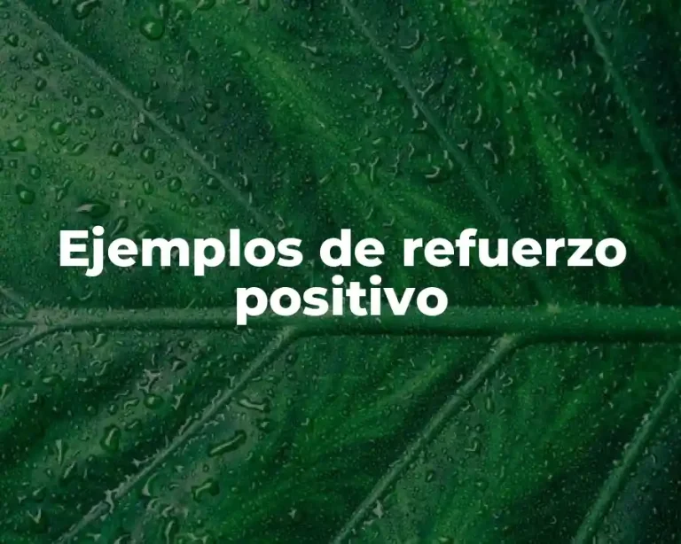 Ejemplos de refuerzo positivo