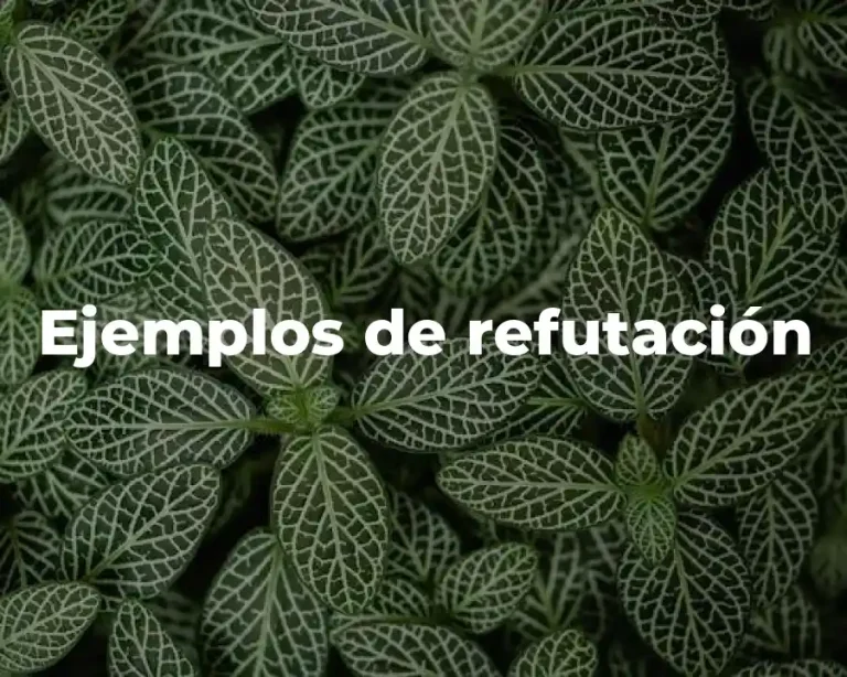 Ejemplos de refutación