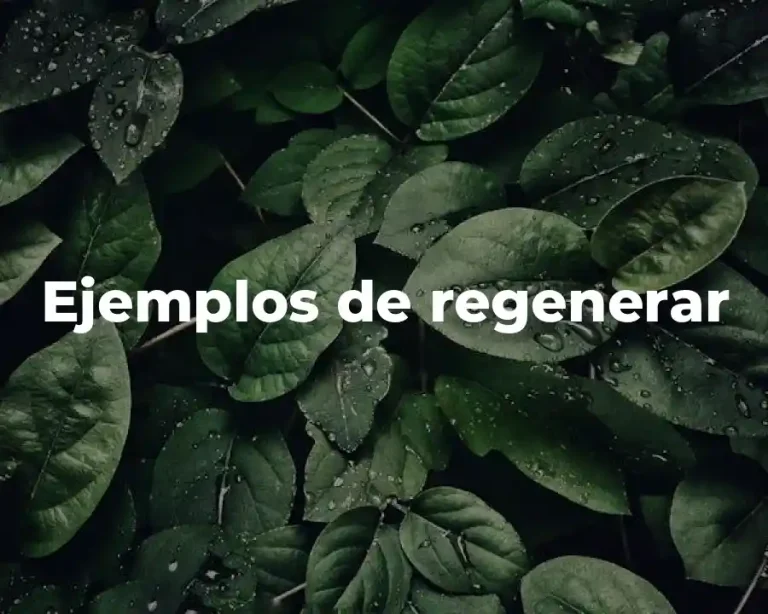 Ejemplos de regenerar