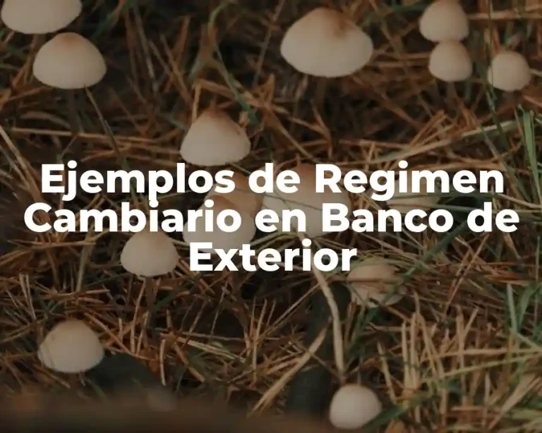 Ejemplos de Regimen Cambiario en Banco de Exterior