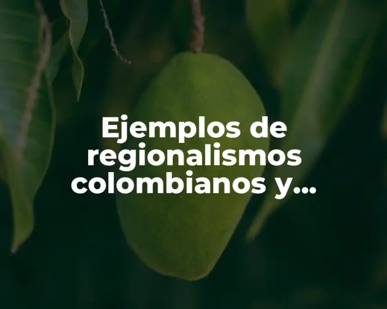 Ejemplos de regionalismos colombianos y Significado