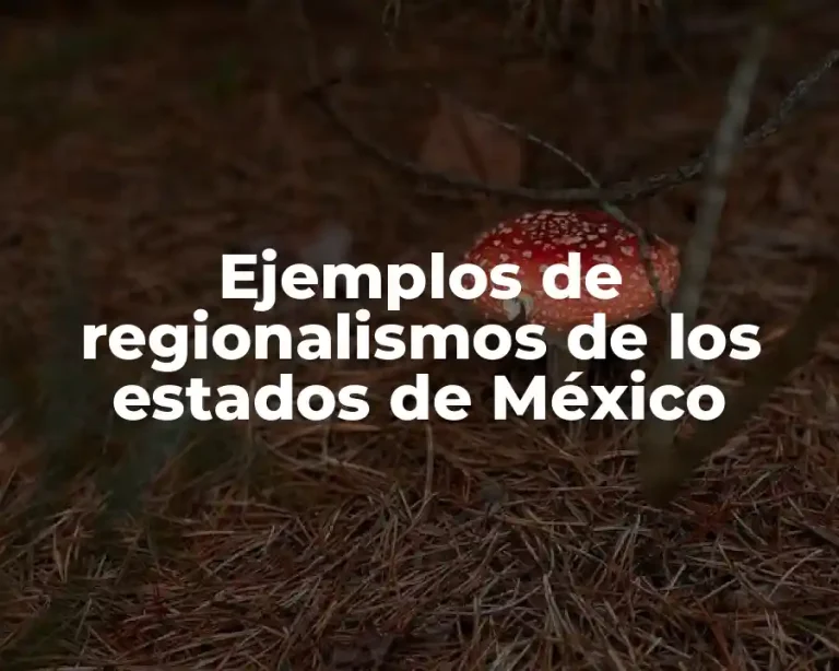 Ejemplos de regionalismos de los estados de México