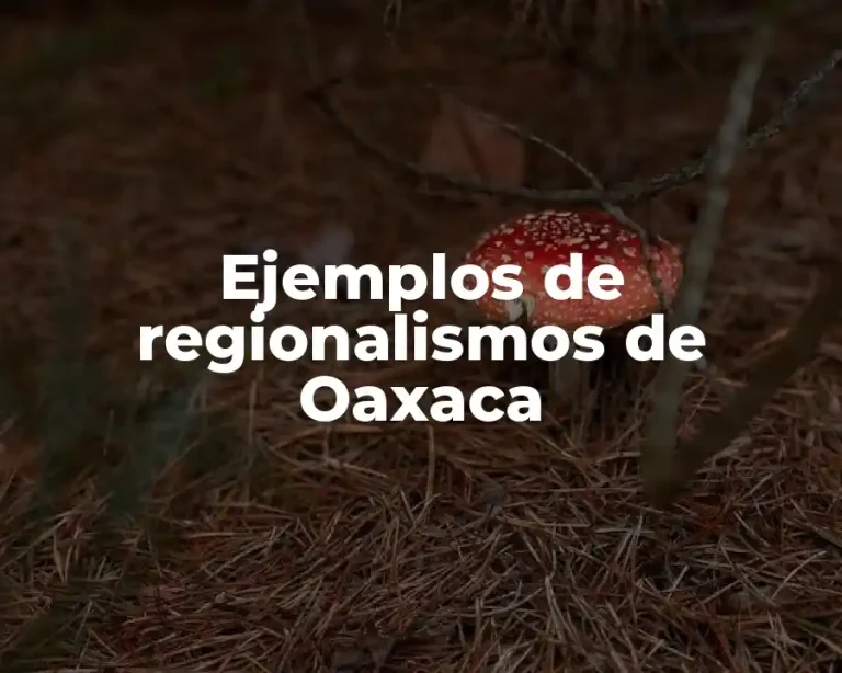 Ejemplos de regionalismos de Oaxaca