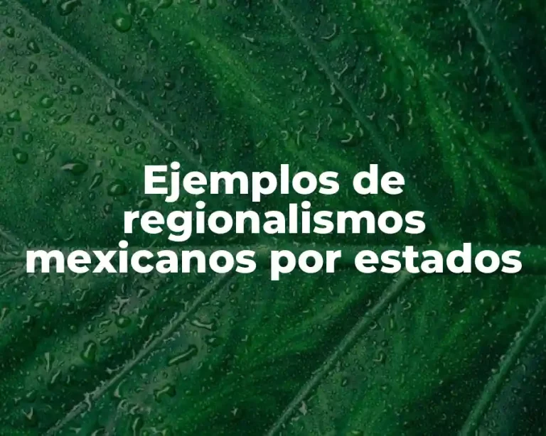 Ejemplos de regionalismos mexicanos por estados