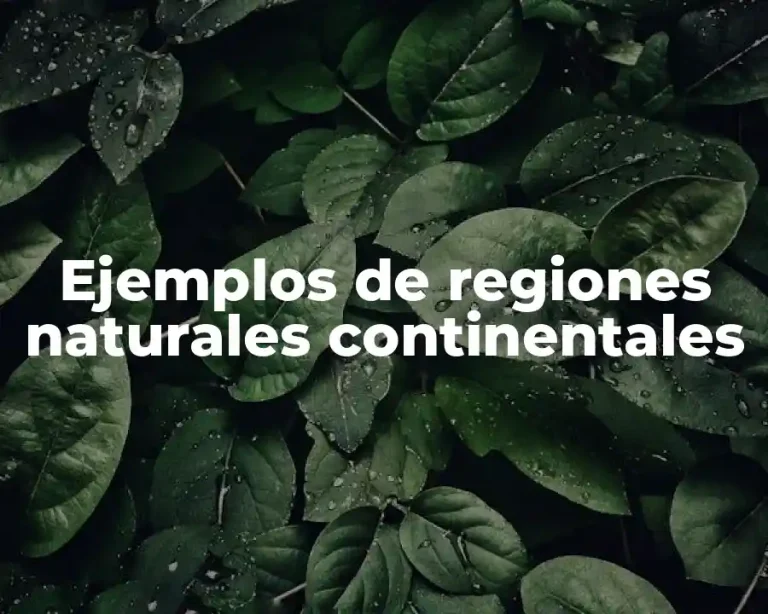 Ejemplos de regiones naturales continentales