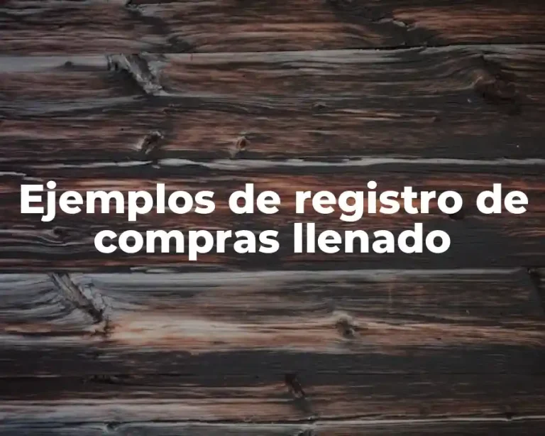 Ejemplos de registro de compras llenado