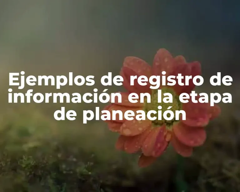 Ejemplos de registro de información en la etapa de planeación
