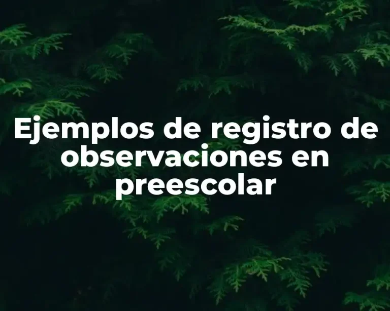 Ejemplos de registro de observaciones en preescolar
