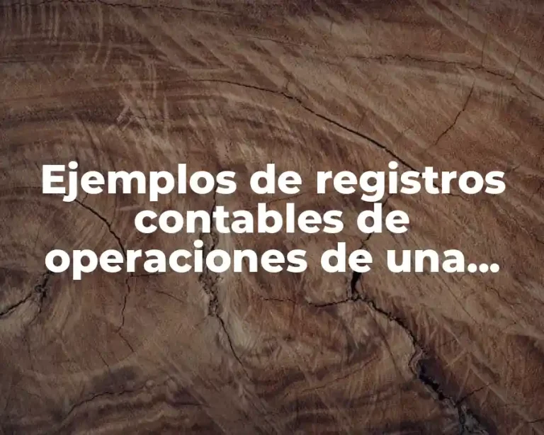 Ejemplos de registros contables de operaciones de una empresa comercial y Significado