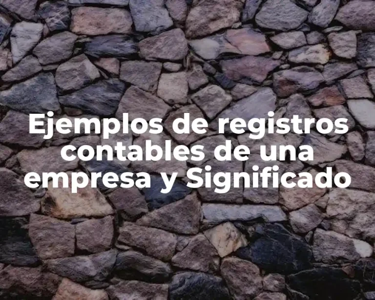 Ejemplos de registros contables de una empresa y Significado