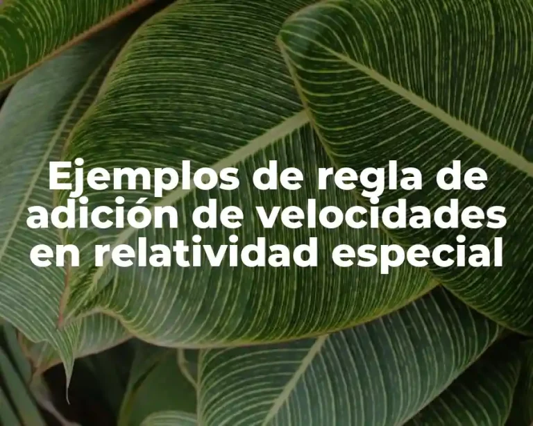 Ejemplos de regla de adición de velocidades en relatividad especial