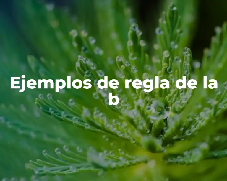 Ejemplos de regla de la b