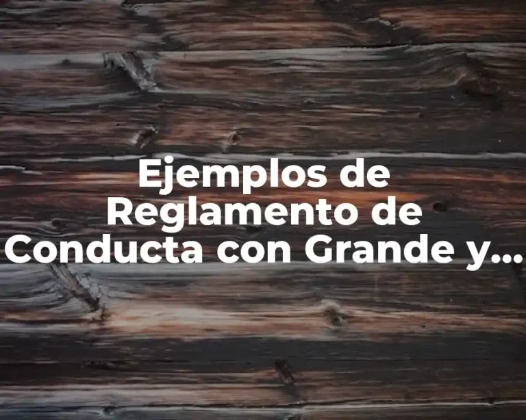 Ejemplos de Reglamento de Conducta con Grande y Significado