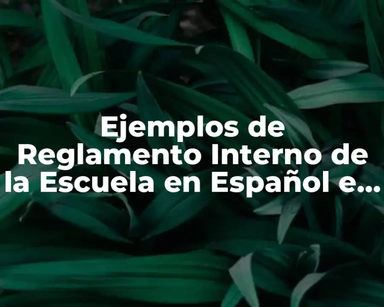 Ejemplos de Reglamento Interno de la Escuela en Español e Inglés y Significado