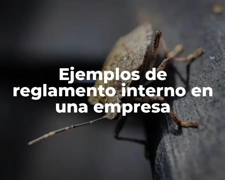 Ejemplos de reglamento interno en una empresa