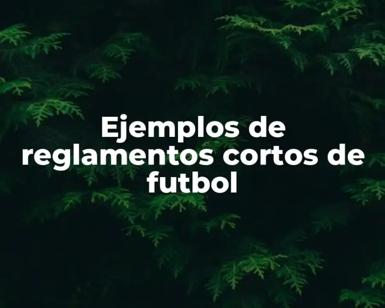 Ejemplos de reglamentos cortos de futbol