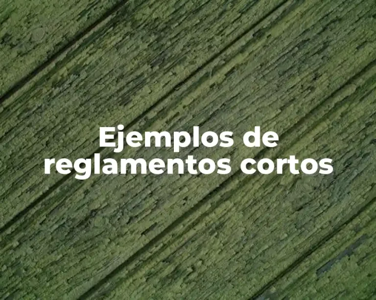 Ejemplos de reglamentos cortos