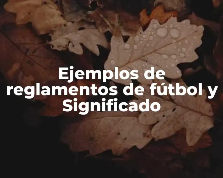 Ejemplos de reglamentos de fútbol y Significado