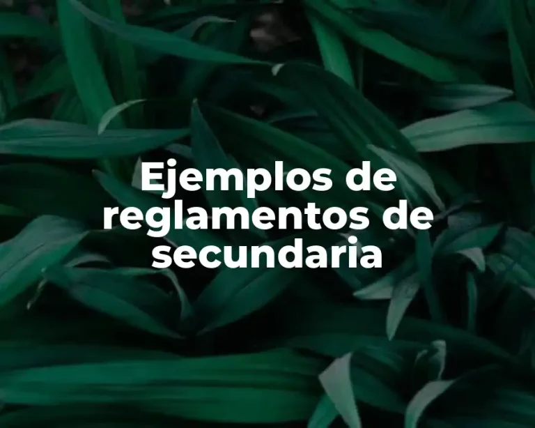Ejemplos de reglamentos de secundaria