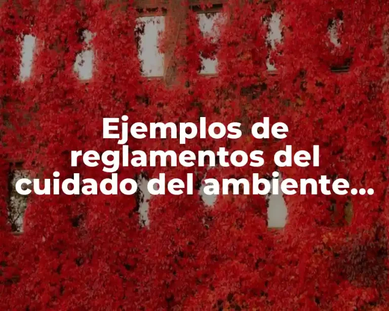 Ejemplos de reglamentos del cuidado del ambiente en una escuela y Significado