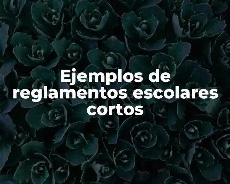 Ejemplos de reglamentos escolares cortos