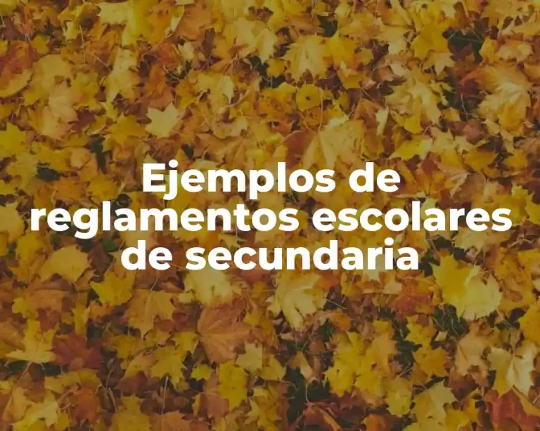 Ejemplos de reglamentos escolares de secundaria