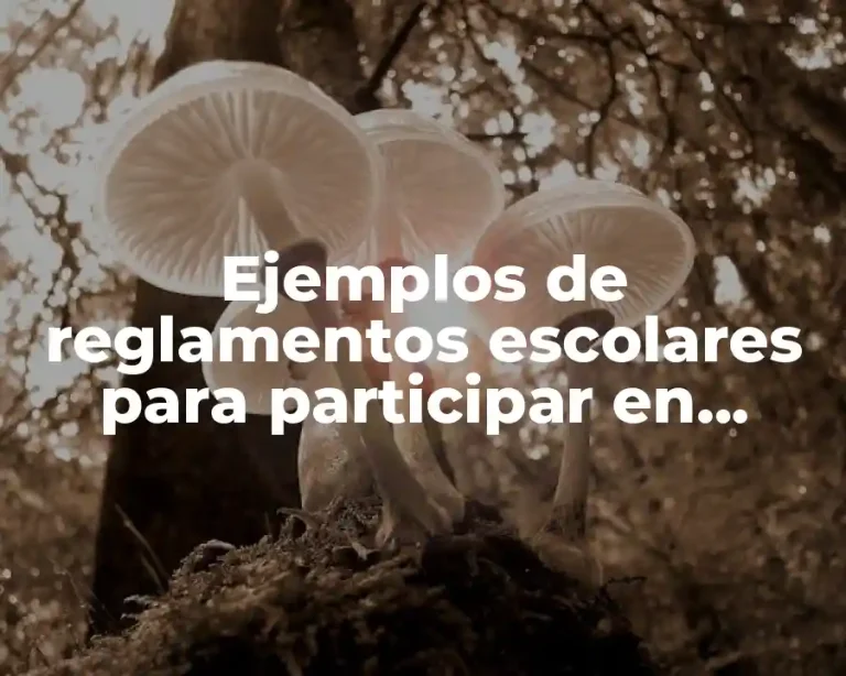 Ejemplos de reglamentos escolares para participar en juegos de mesa y Significado